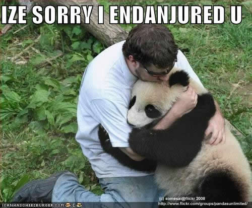 funny-pictures-human-apologizes-to-panda1.jpg