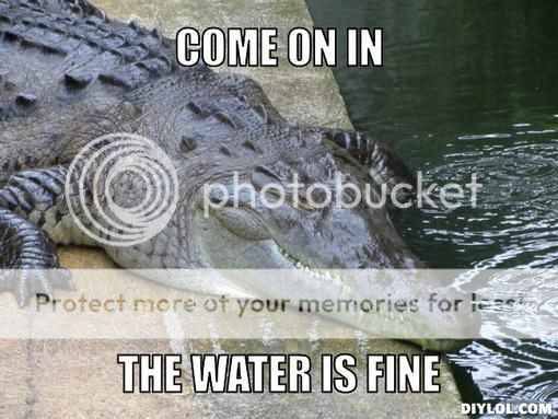 sly-croc-meme-generator-come-on-in-the-water-is-fine-555dc5.jpg
