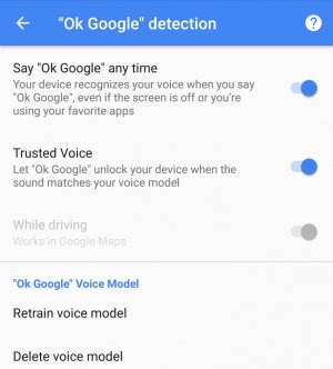 ok-google-detection-settings-e1477328370884.jpg
