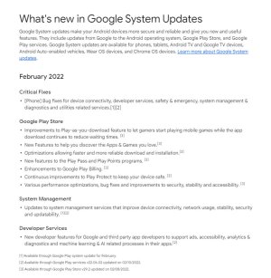 Google-February-2022-update.jpg
