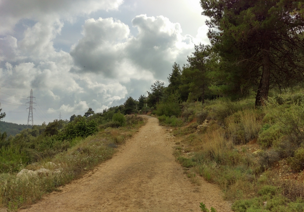IMAG00451.jpg