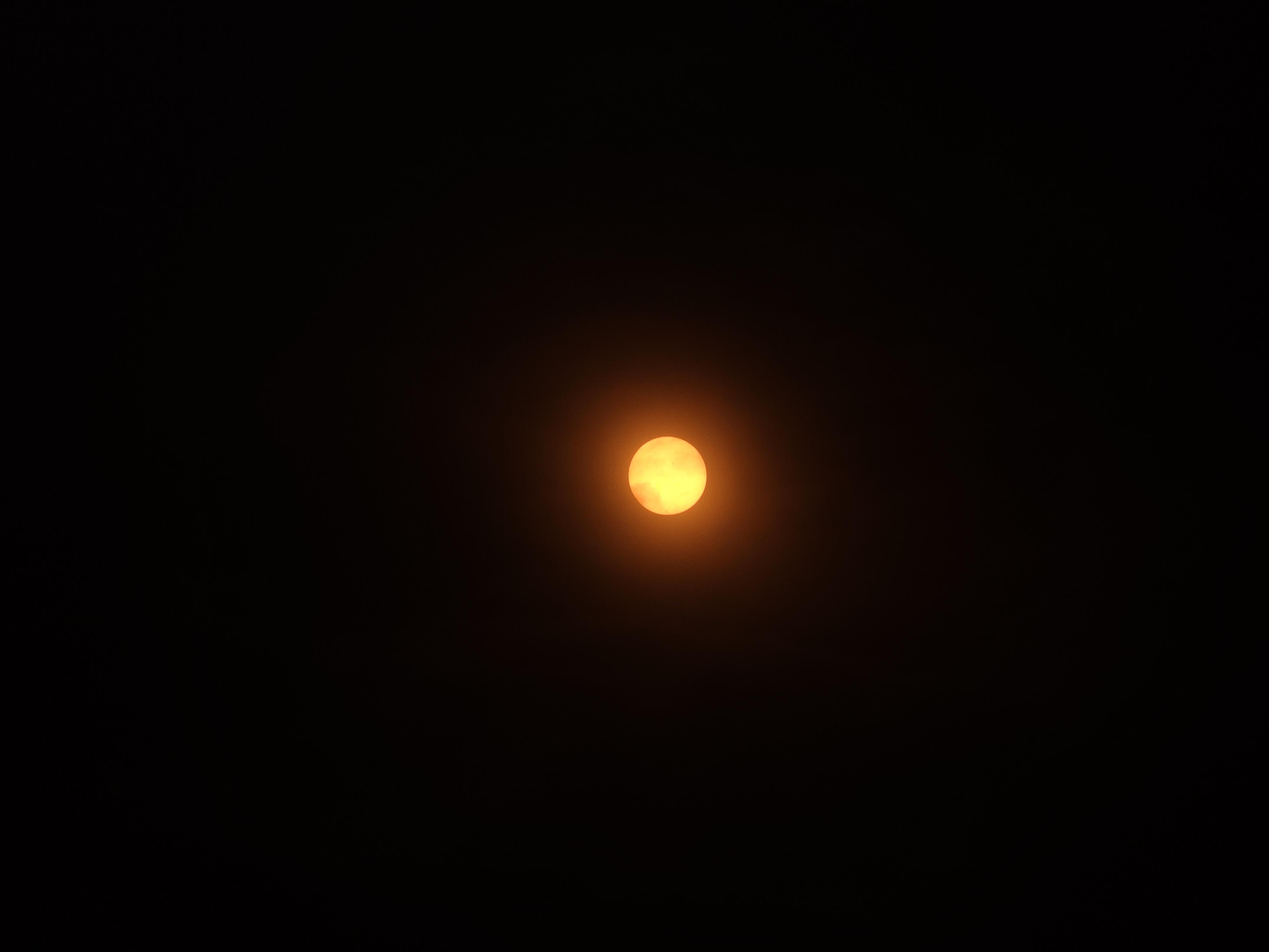 98cb9c57484c59acd588bce12859ffa2.jpg