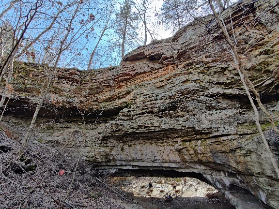 360f05e4bb46fe1630894f1611d23c8b.jpg