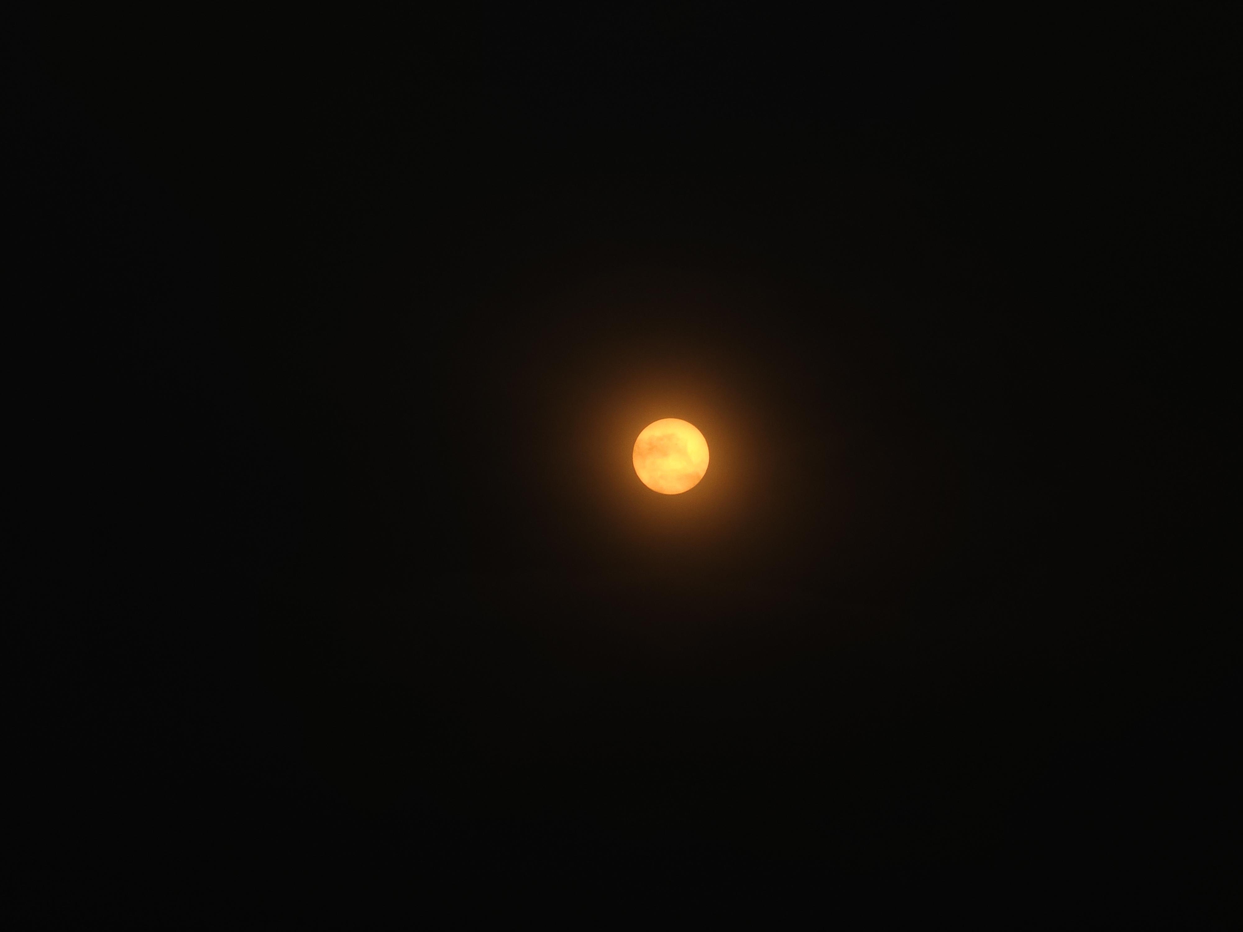 ed7c7b7b3294bb700541752a86eb8ea2.jpg