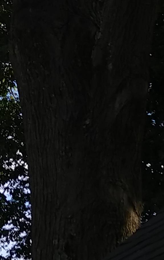d1b6b3728d83b06bb8b279df1f43f213.jpg