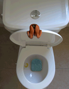 cd4c3b5d42b682953dc87b292b250b3a.gif