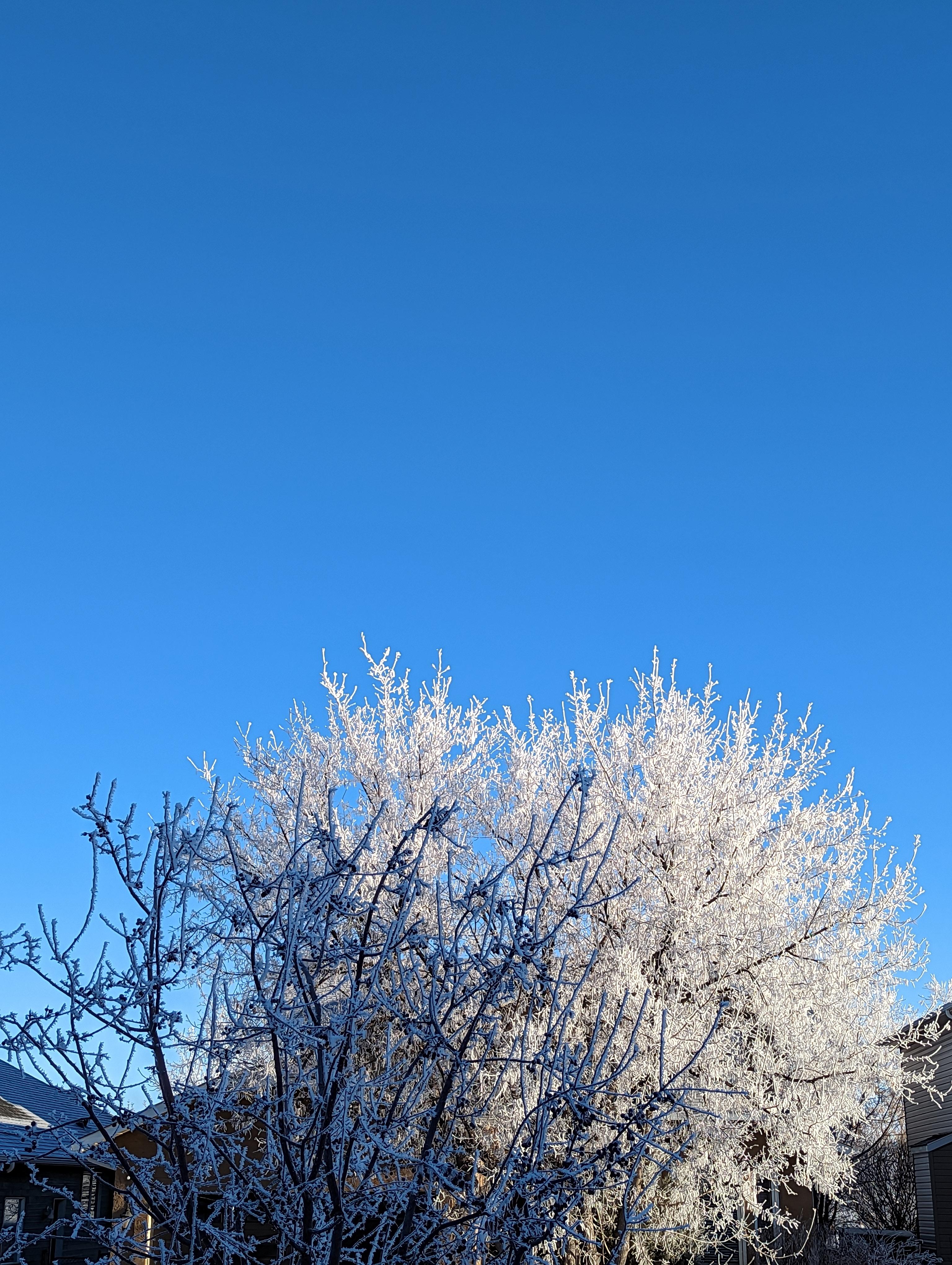c075569b4783d4b00c93a1d5e4321ca5.jpg