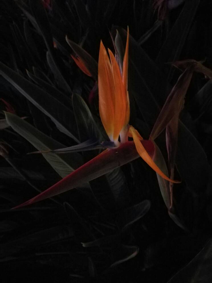 50c3d9f86307b11aa8c0236aa31e0a2a.jpg