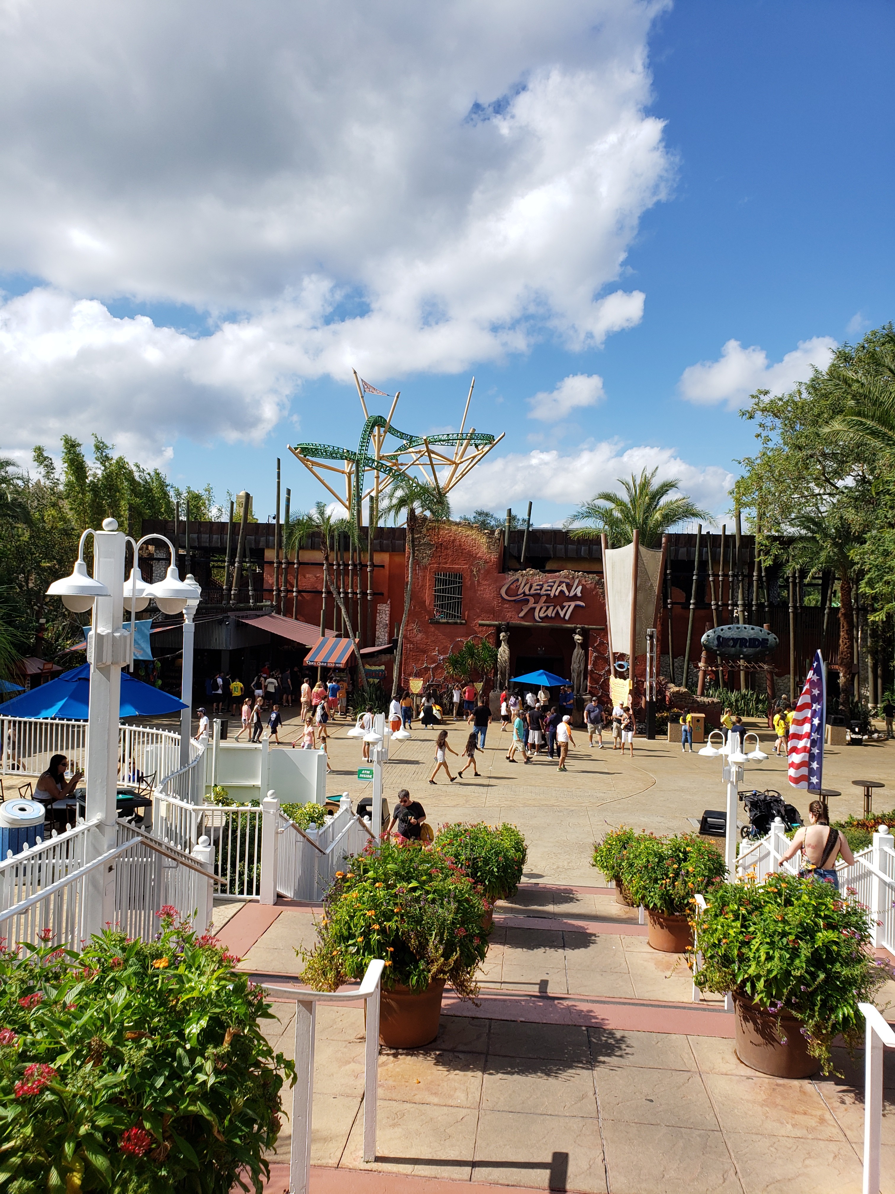 20181110-115324.jpg