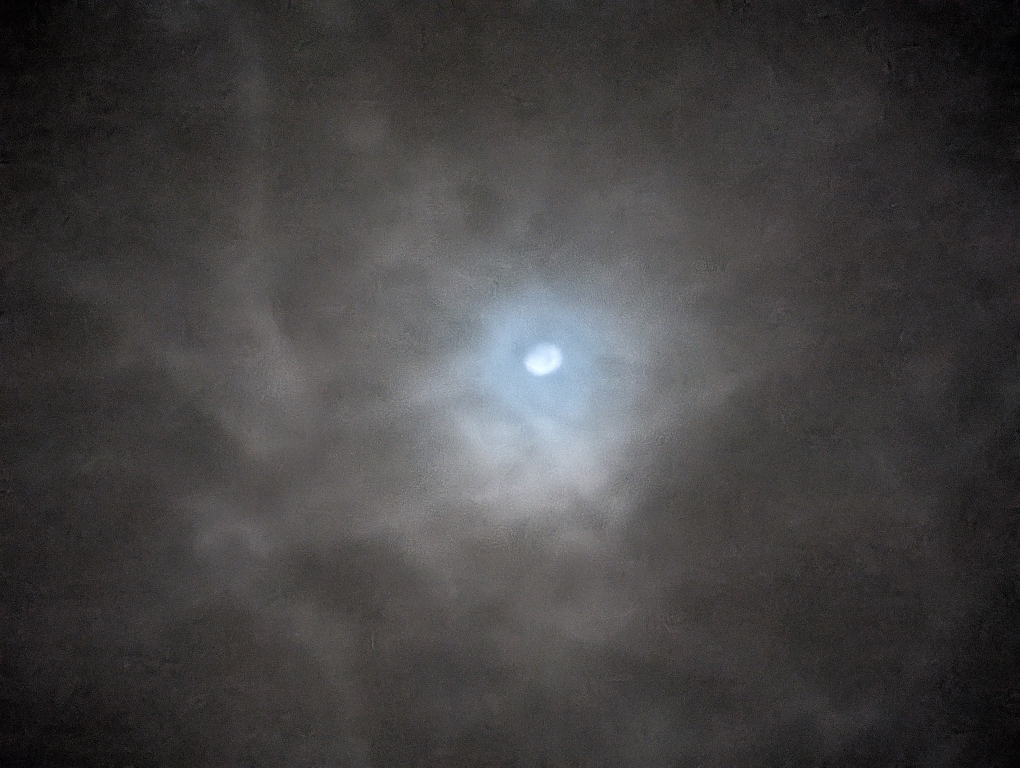 ff40a76092dca17dedfd051079f94ca7.jpg