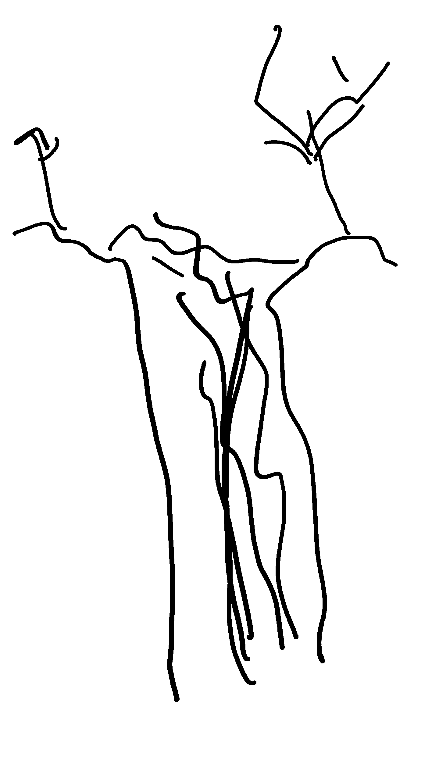 4d3617d69ccf2bdf11cf35c59cde13eb.jpg