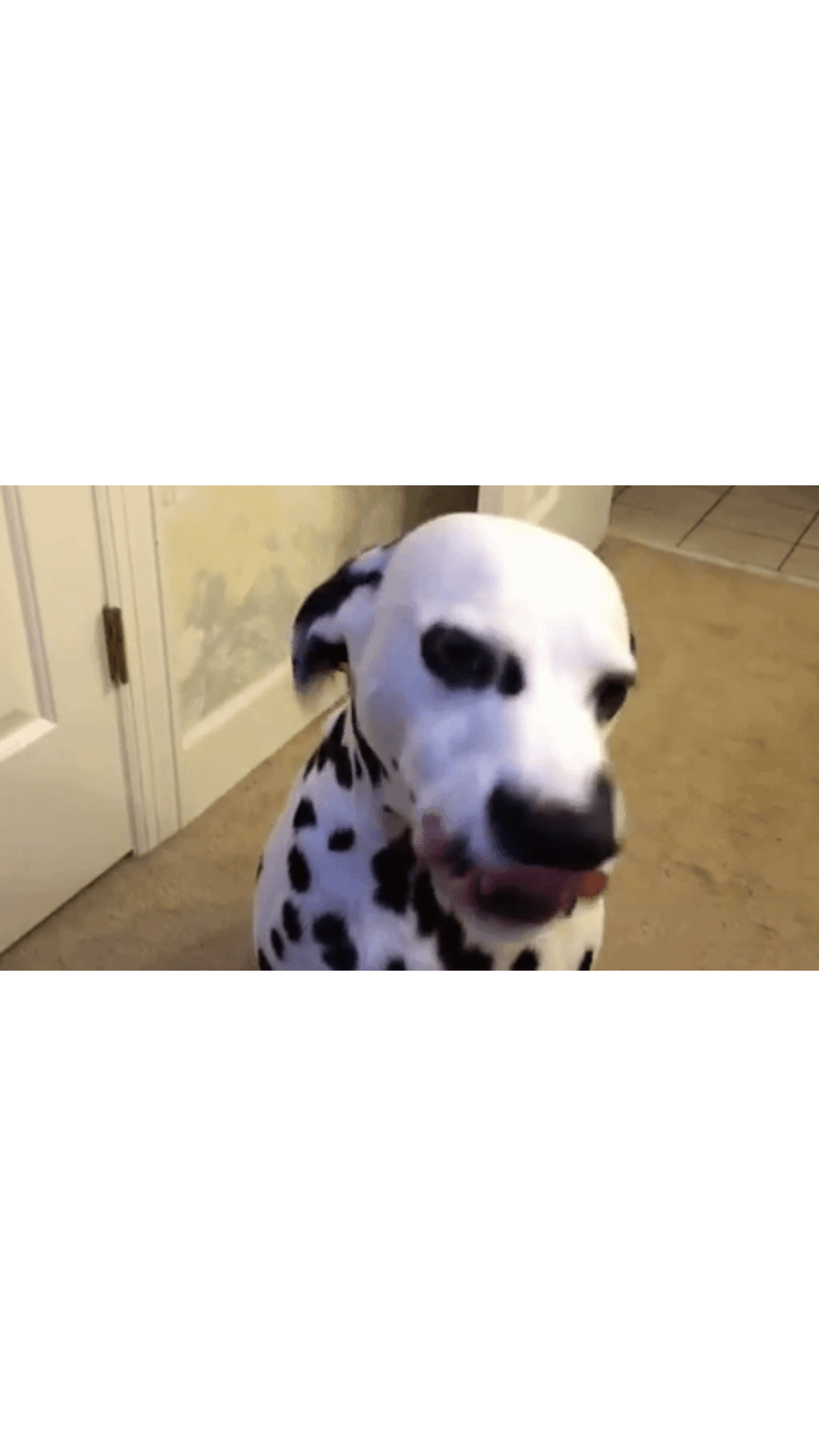 a13de0ee6c5dd57bd7bf61c698519b58.gif