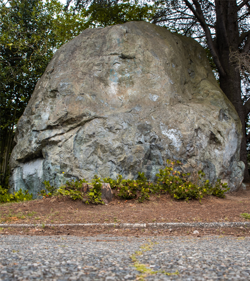 www.burkemuseum.org