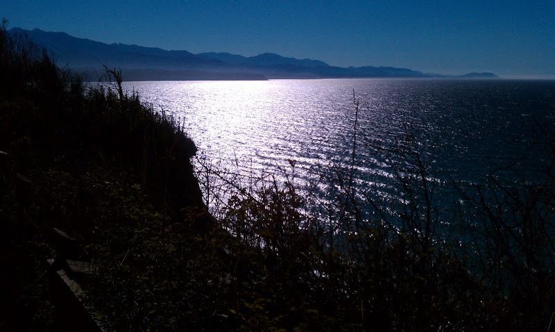 IMAG0545.jpg