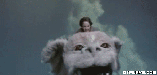 fae4e75fa37a6c4d8118864e427e32b5.gif