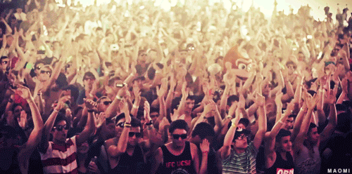 65e85c0a1fa49a01e82ae8de5228a76c.gif