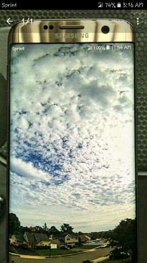 76fe2602ac947b8b6b446162567b5885.jpg