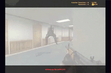 1233927325_jean%20claude%20van%20damme%20playing%20counter%20strike.gif