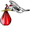 red_stork.gif
