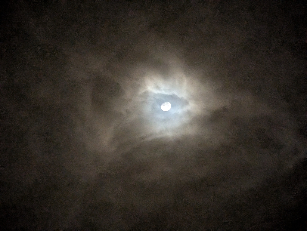 5dfb8182ecbff327df25ef63b714a294.jpg