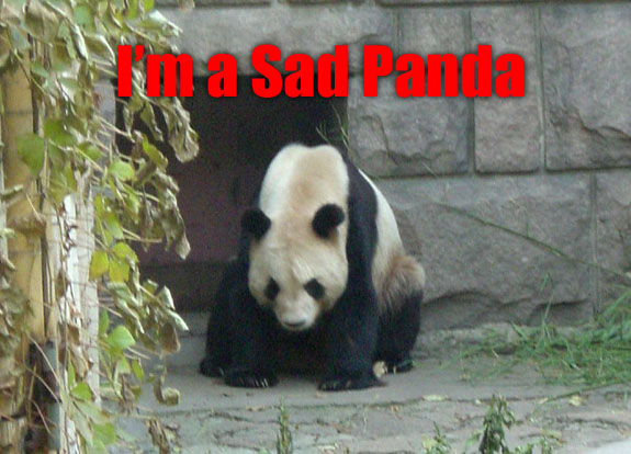 sad-panda.jpg