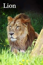 0-ihzCVHKokURaAEFckh6h8R4tvLyvhV8CH7oW2eHSd14MXqOJ6L873EkBNyy0wh3Q=h230