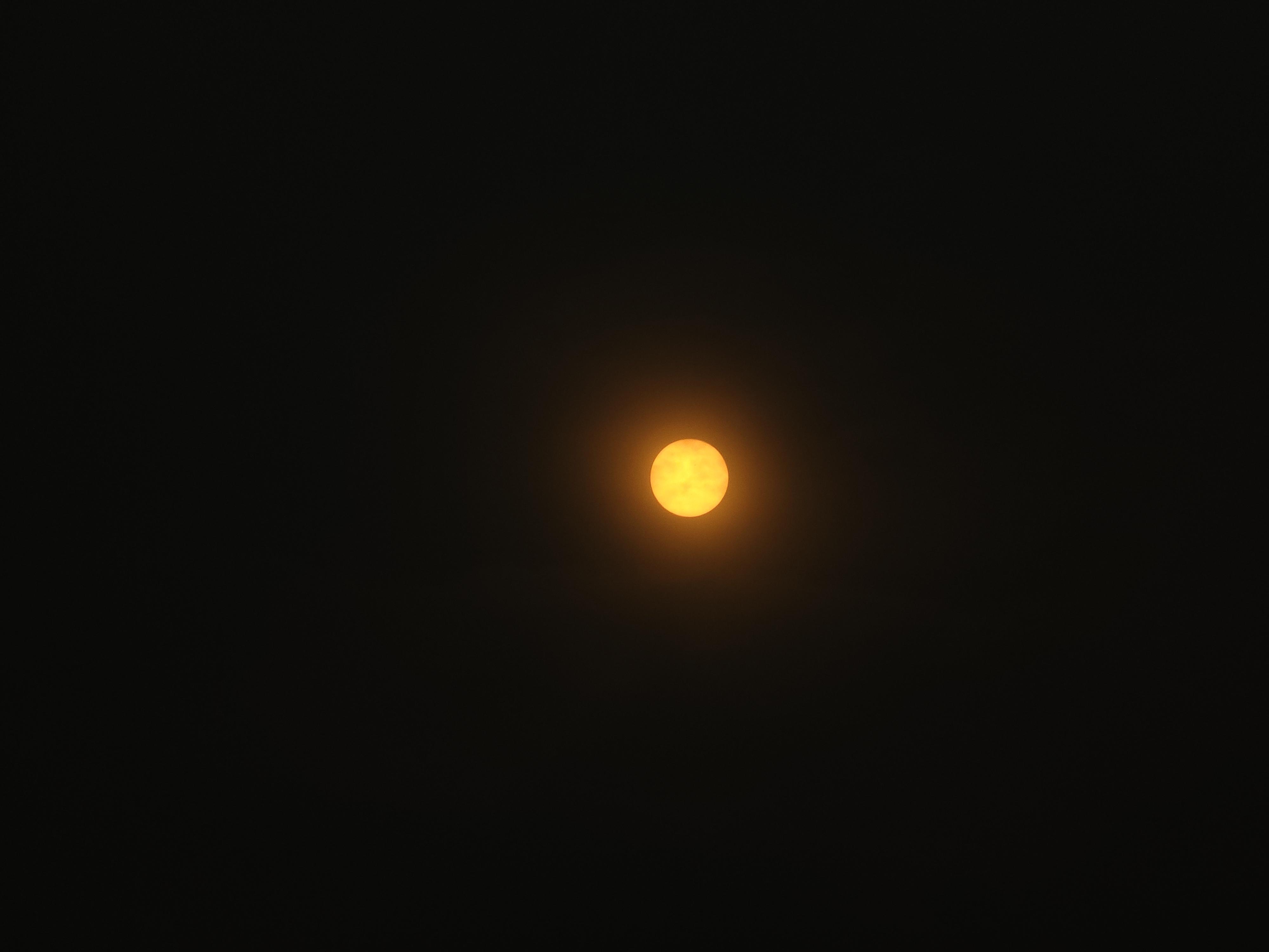 30b7058bae17933d854d2dce184b9072.jpg