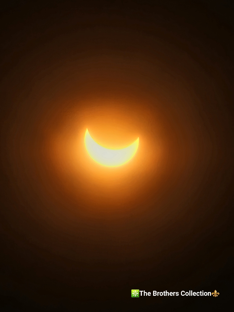 4d6523484b0261a70c8aa457dee31f02.jpg