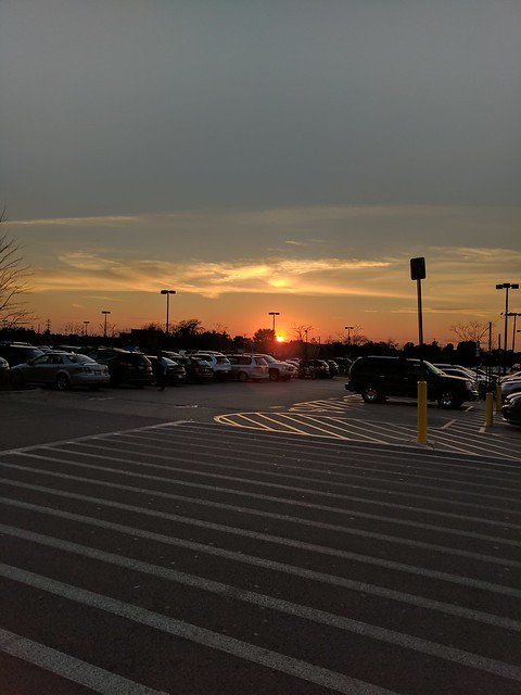 31043697515_444234e967_z_d.jpg