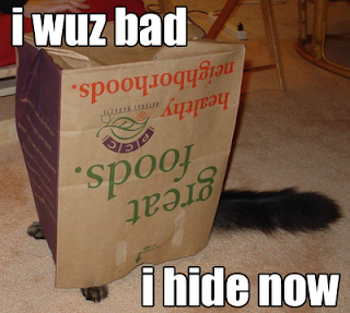 lolcat5.png