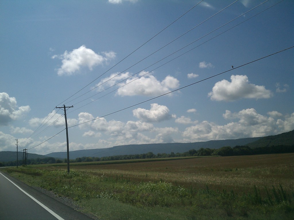 4793269635_1630e045ff_b.jpg