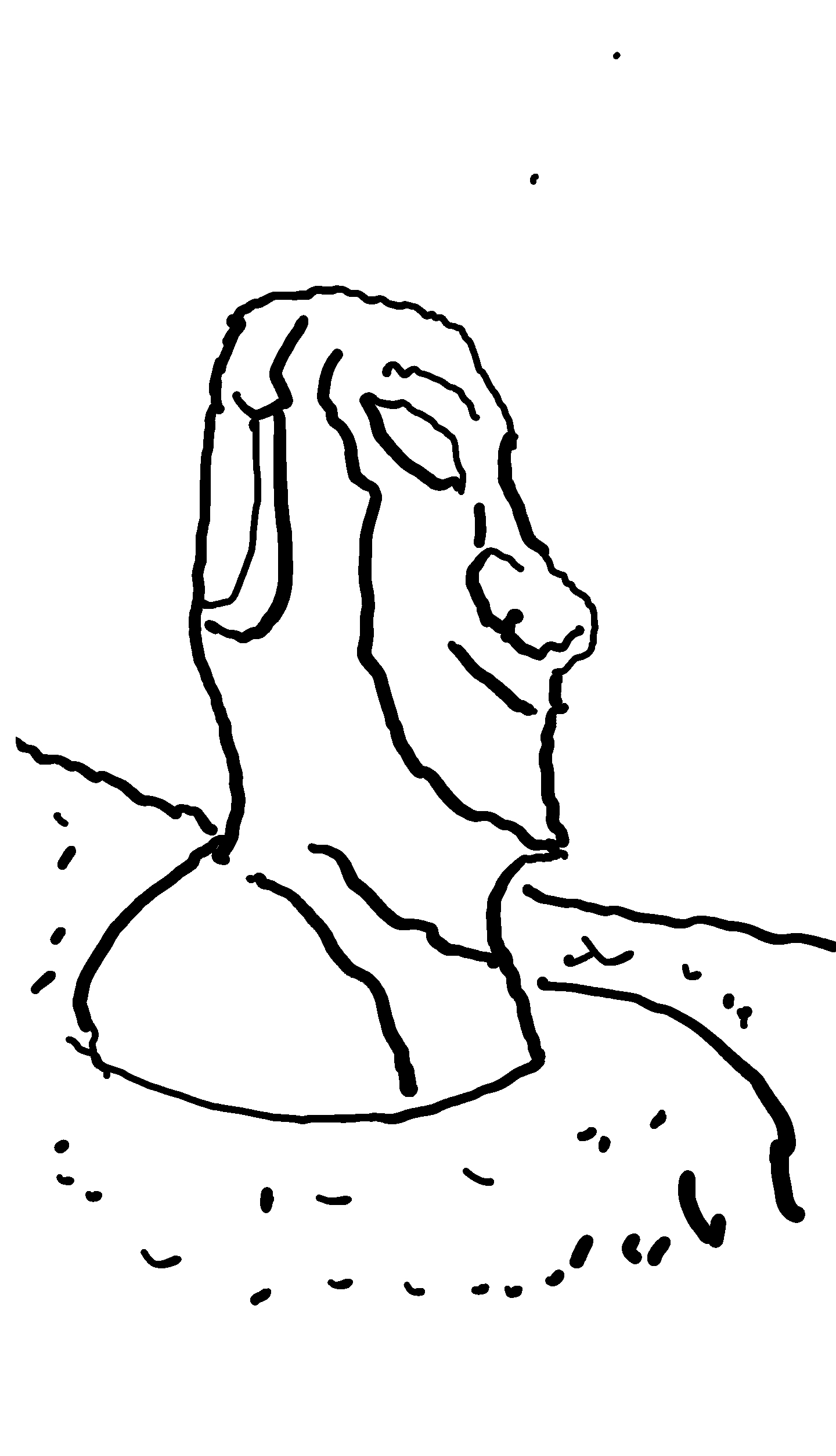 dc66e90ad1d6d8a2b68174541a1bb4ce.jpg