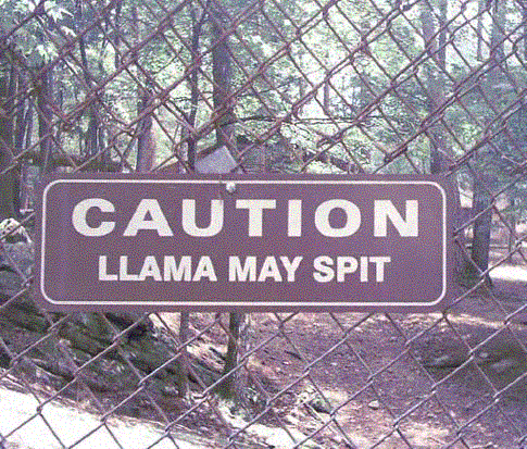 spitllama.gif