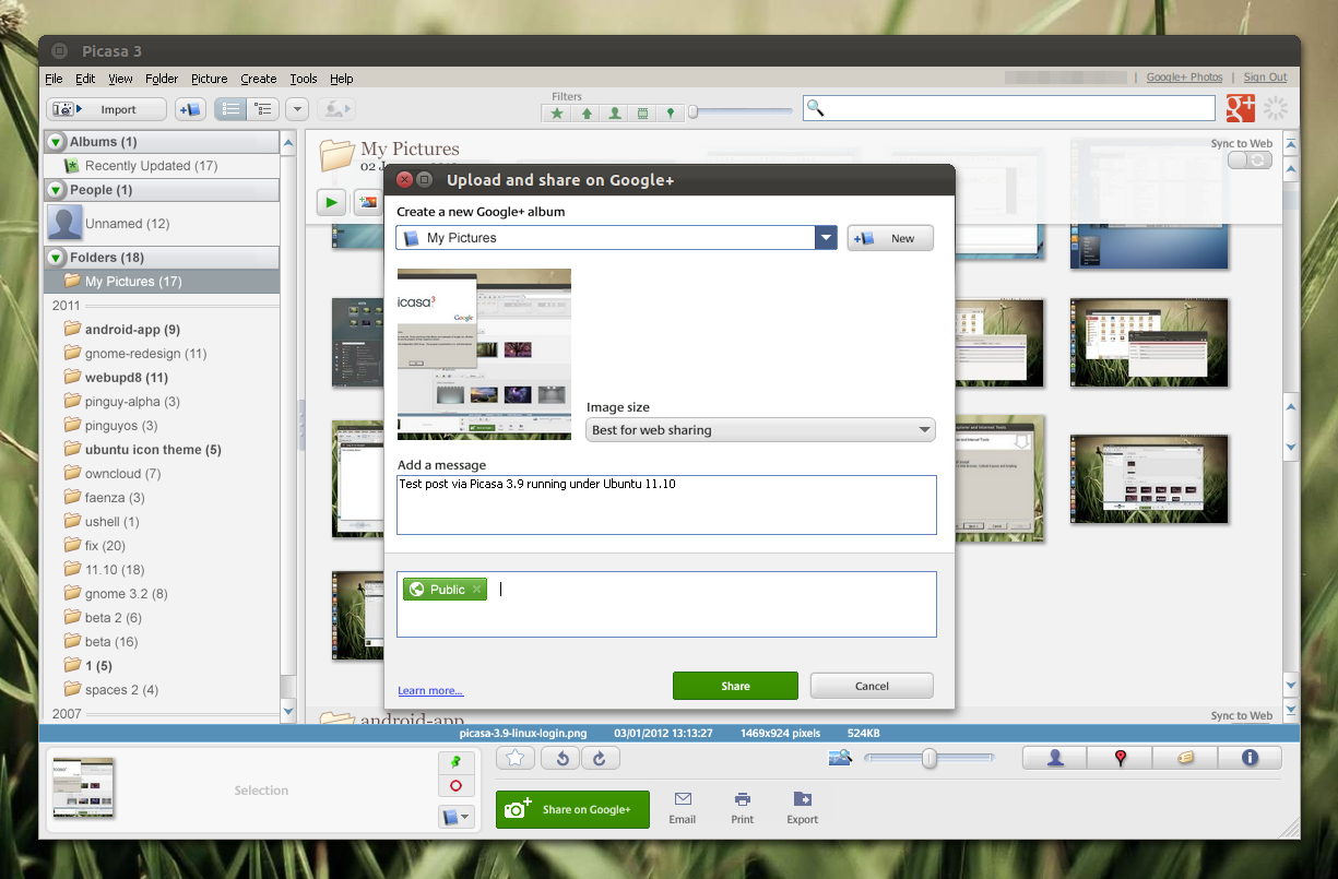 picasa3.9-linux-share-google-plus.png