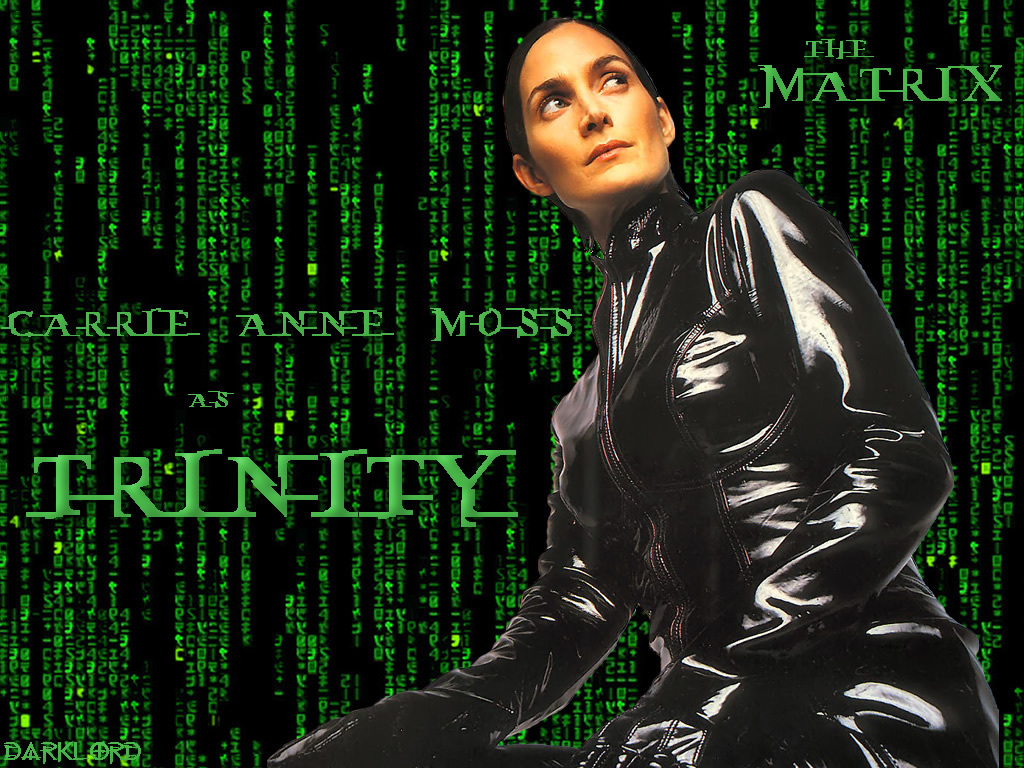 The-Matrix-Trinity-Wallpaper-the-matrix-6100705-1024-768.jpg